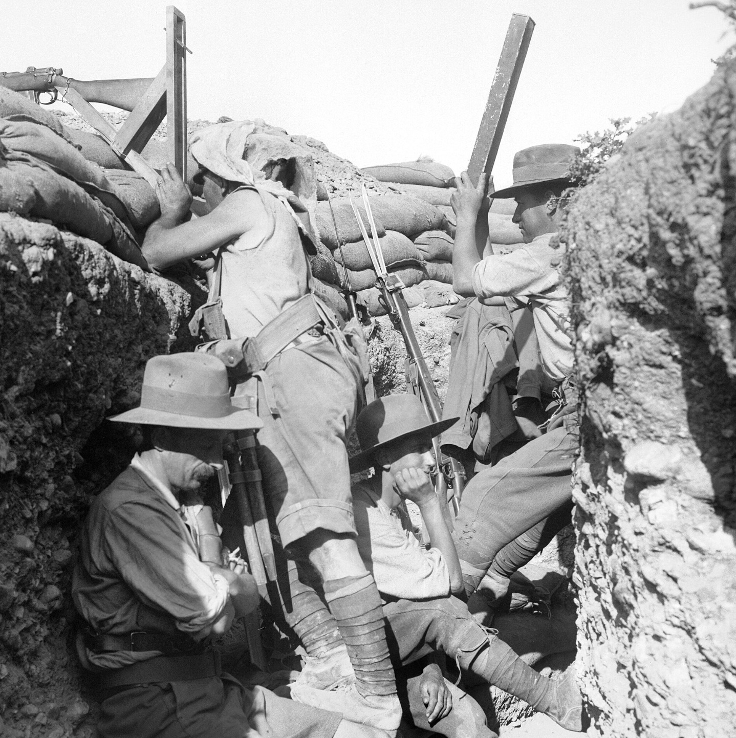 Australian light horseman using a periscope rifle, Gallipoli 